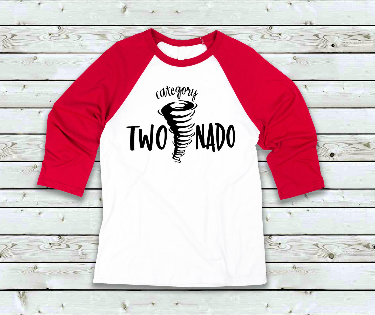 Twonado, Storm Chaser, Tornado Survivor, Personalized, Kids and Adult Family Set, 2nd Birthday Family Set, Twonado Family, Second Birthday